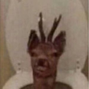 Meet your Posher, Jambie